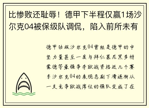 比惨败还耻辱！德甲下半程仅赢1场沙尔克04被保级队调侃，陷入前所未有危机